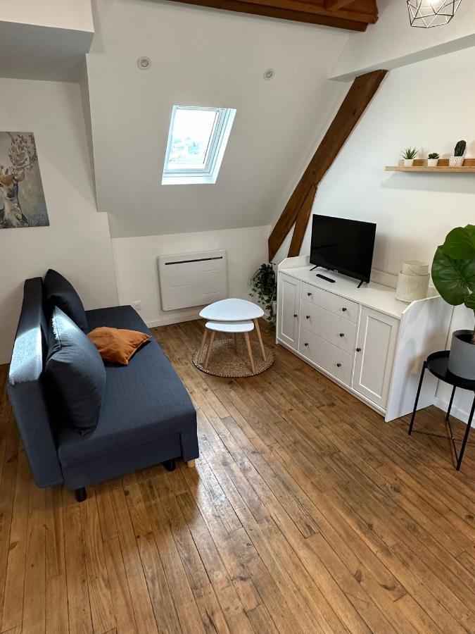 Superbe Appartement Mansarde Avec Mezzanine - Proche Centre Ville, Thermes, Aquensis Bagneres-de-Bigorre Bagian luar foto
